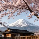 日本